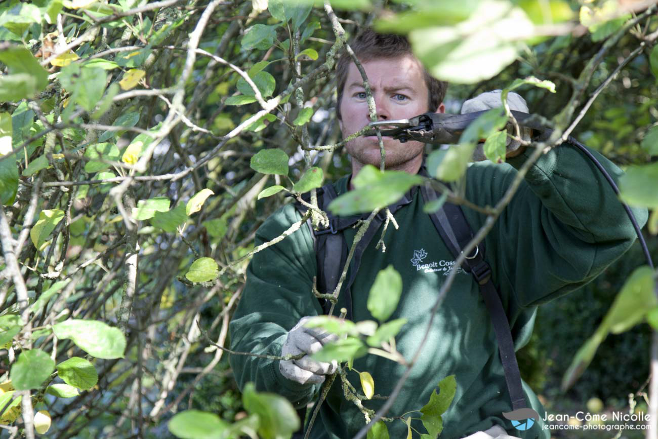reportage corporate avec portraits en situation de travail et photos d'illustration pour le compte de la société Cossenet, créateurs de jardins