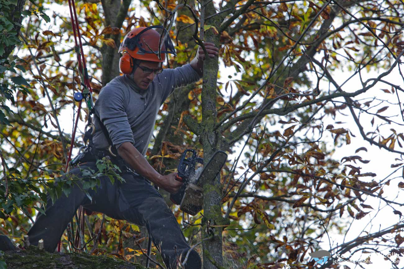 reportage corporate avec portraits en situation de travail et photos d'illustration pour le compte de la société Cossenet, créateurs de jardins
