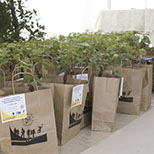 réalisations récentes en commandes photo de VisuL360