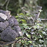 réalisations récentes en commandes photo de VisuL360