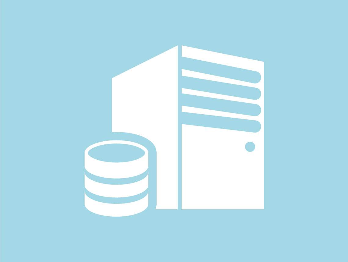 serveur dedie unique personnalise